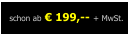 schon ab  199,-- + MwSt.